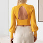 Mock neck Long Sleeve Open Back Crop Sweater