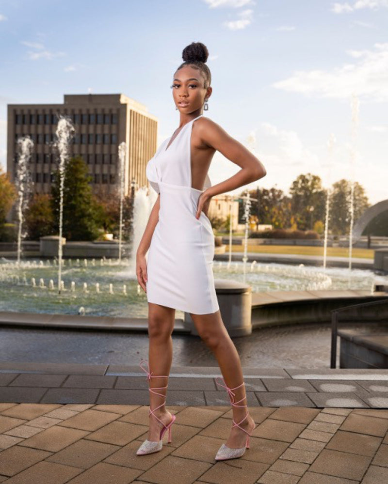Enchanting Backdrop Dress