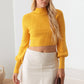 Mock neck Long Sleeve Open Back Crop Sweater